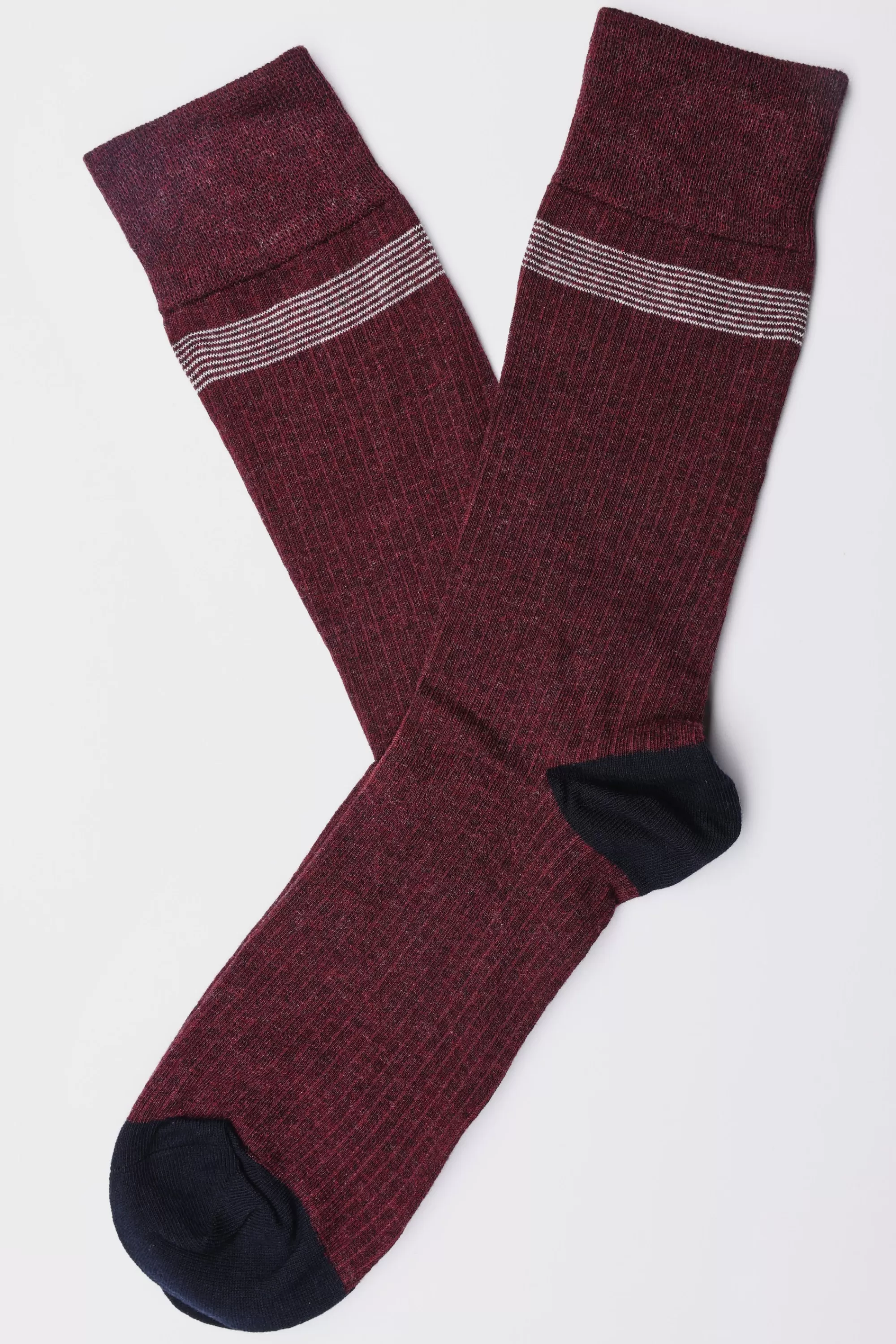 Barkers Socks | Socks^Brady Stripe Sock