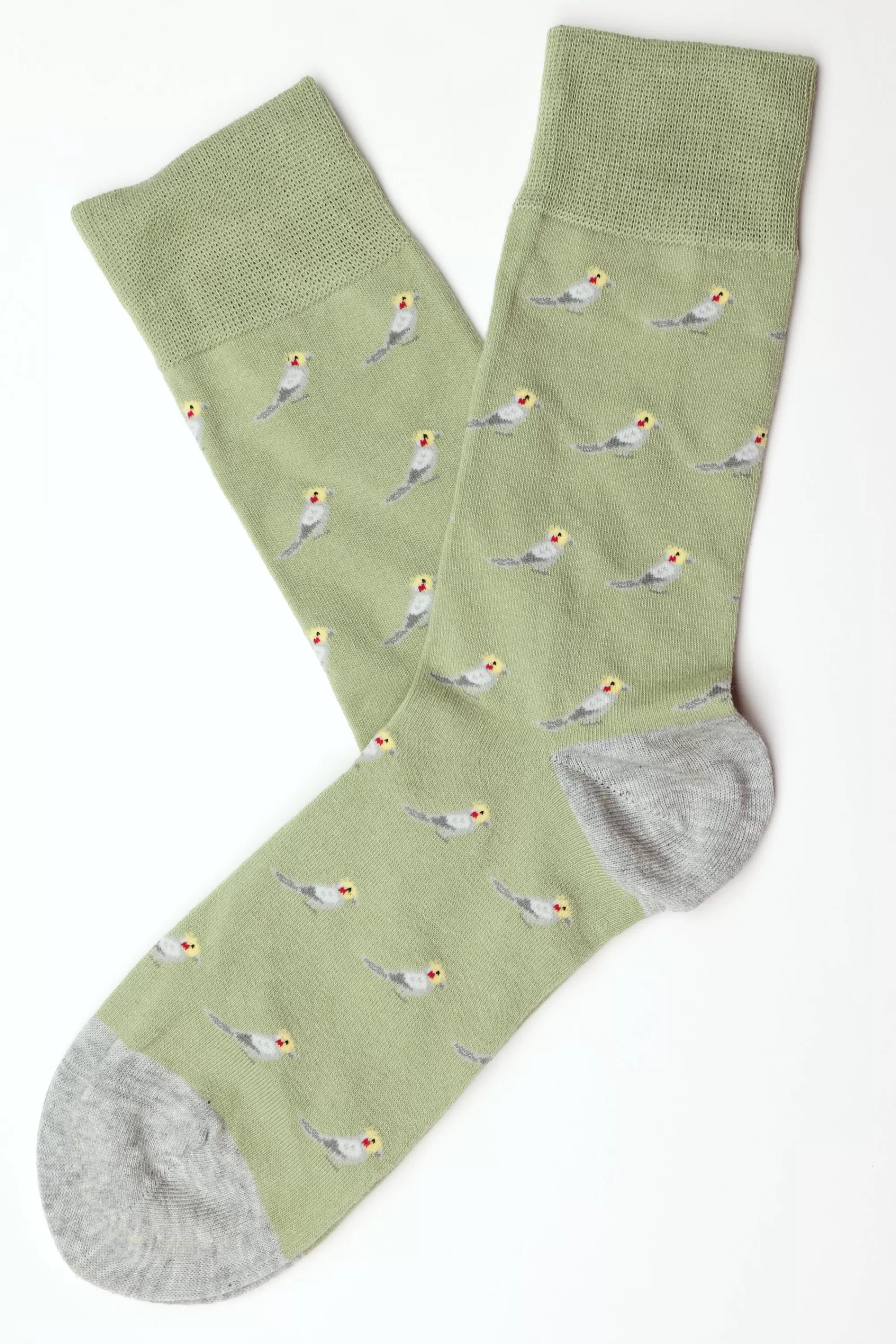 Barkers Socks | Socks^Lodge Parrot Sock