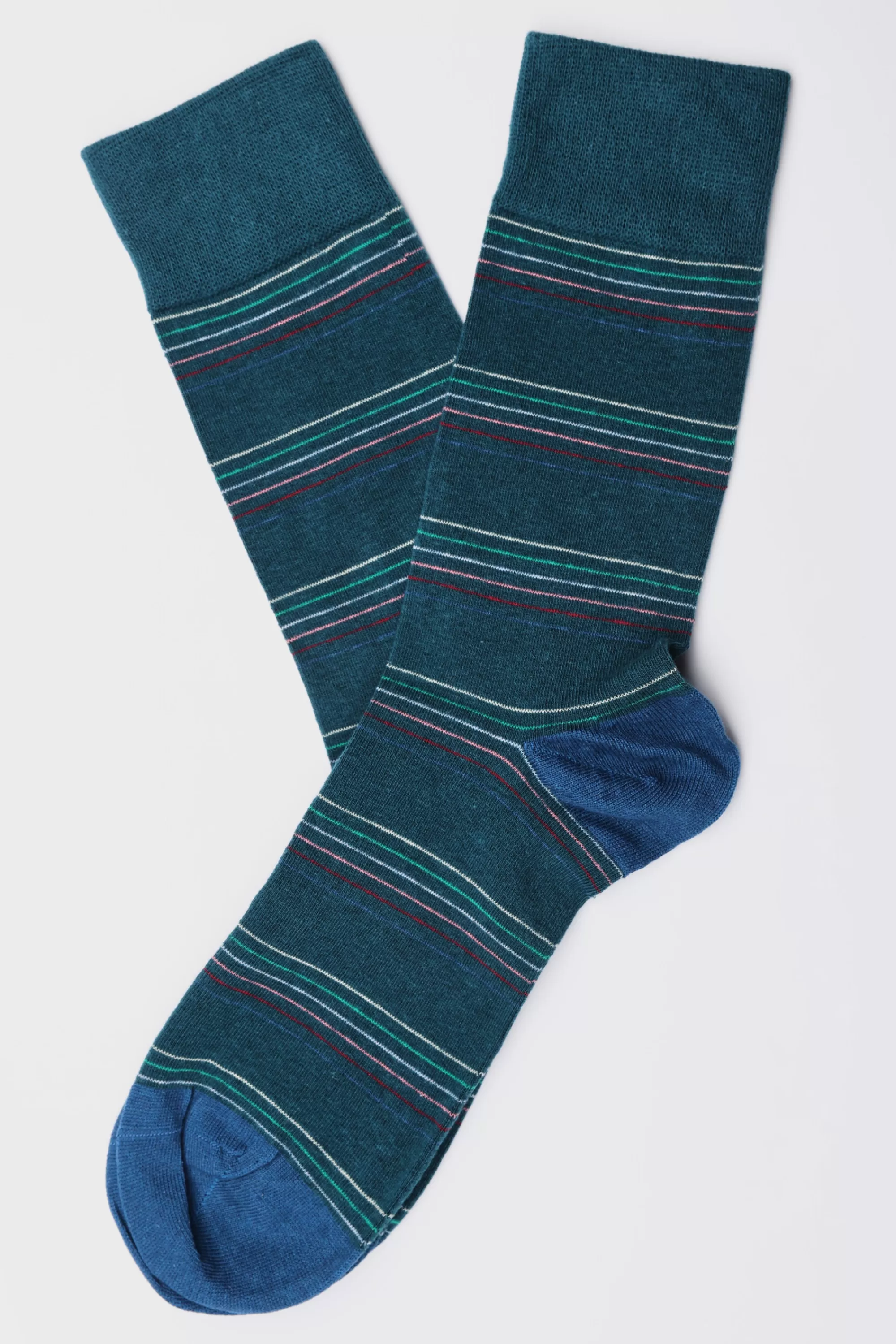 Barkers Socks | Socks^Sandy Bright Stripe Sock