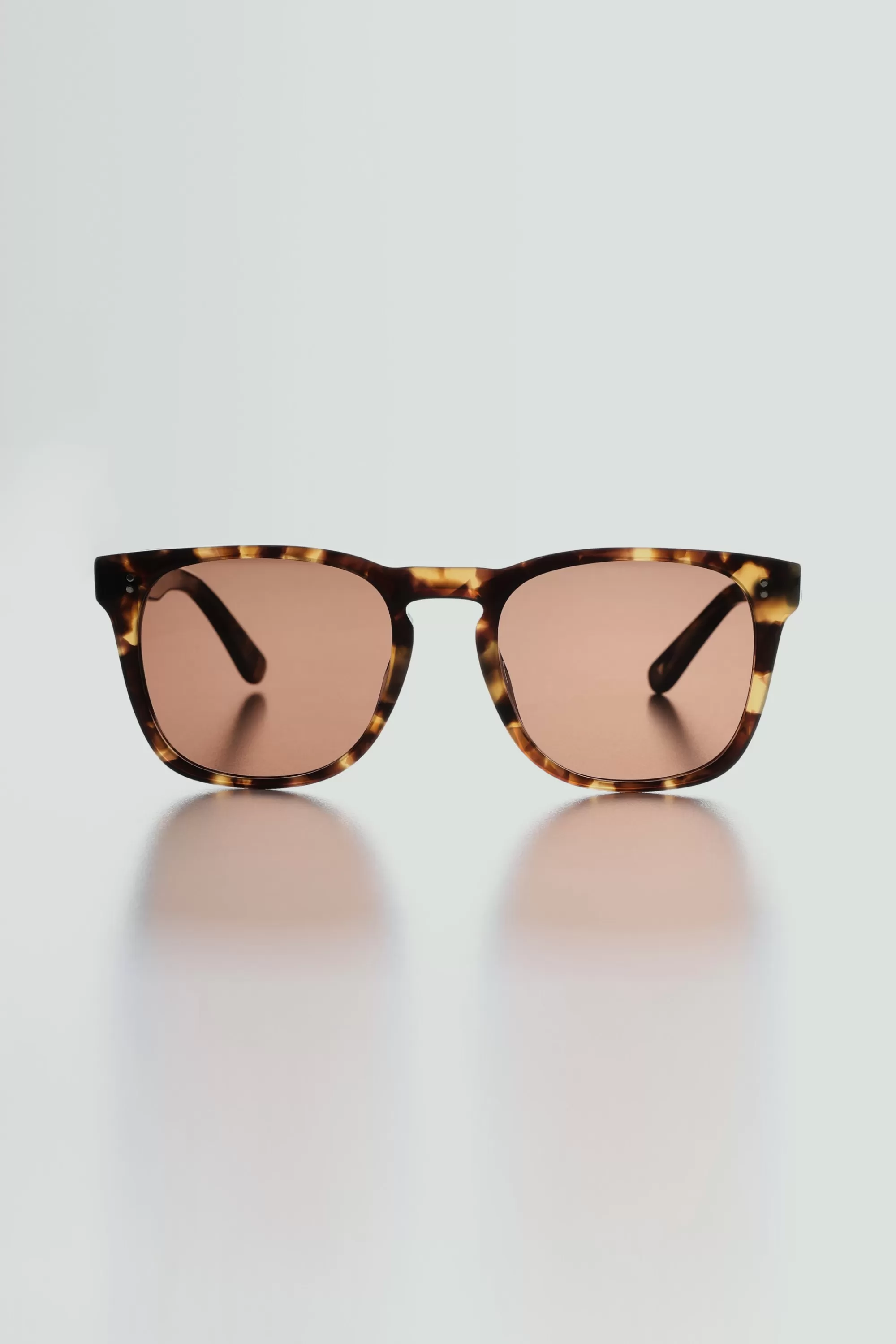 Barkers Sunglasses^Tennyson Polarised Sunglasses BROWN