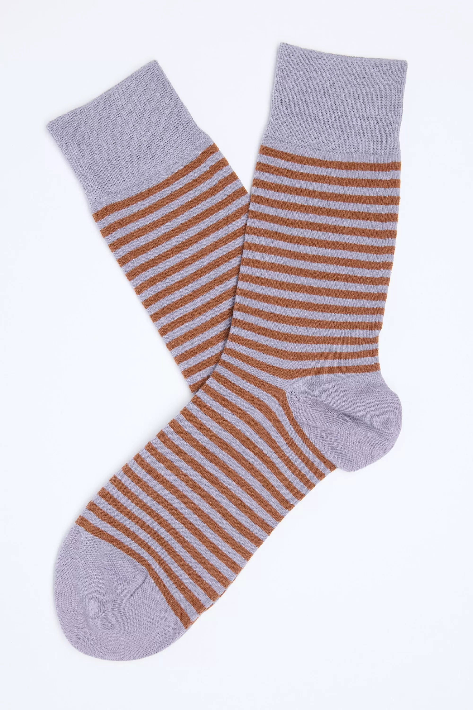 Barkers Socks | Socks^Tilliam Stripe Sock